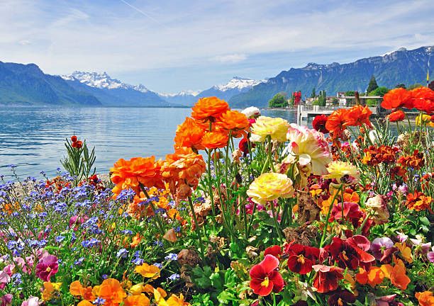 Analisis USD/CHF menguat di tengah meredanya ketegangan perdagangan - Data Pasar 2025-10-28